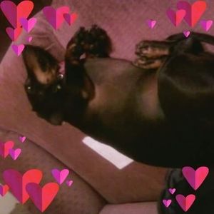 Meet your Posher, Amy